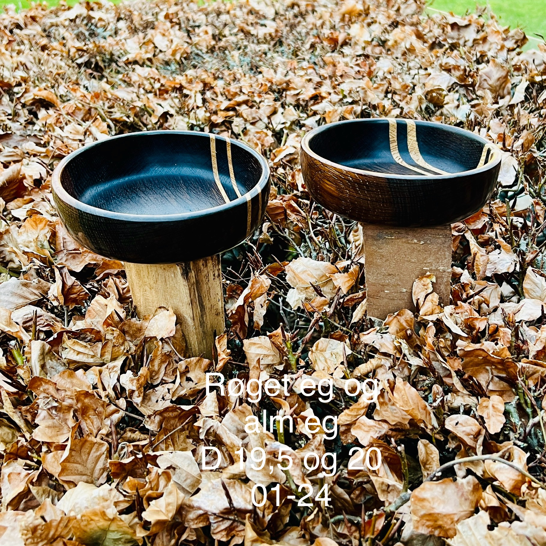 Skål 20x4 - Image 3
