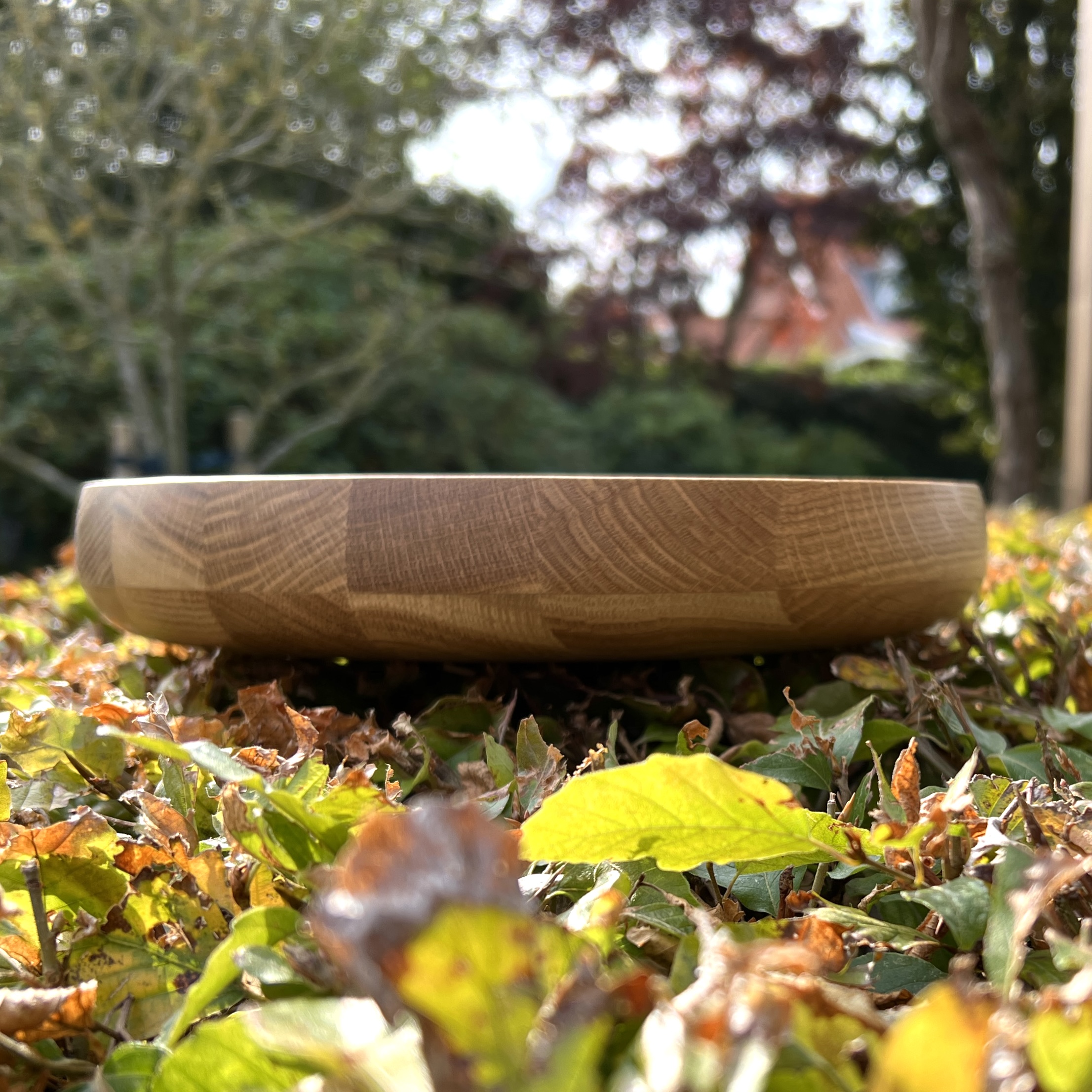 Fad 29x6 - Image 2