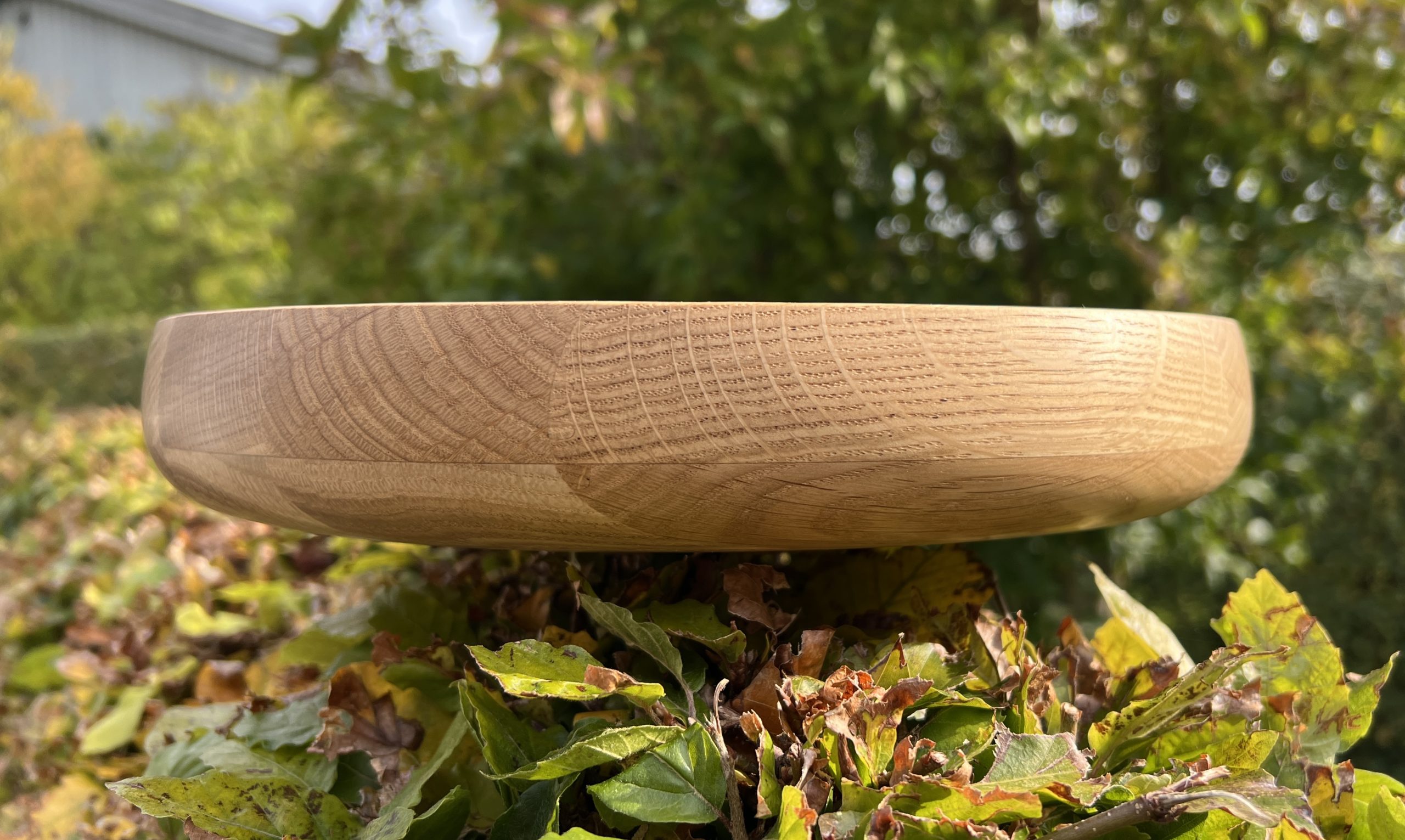 Fad 29x6 - Image 3