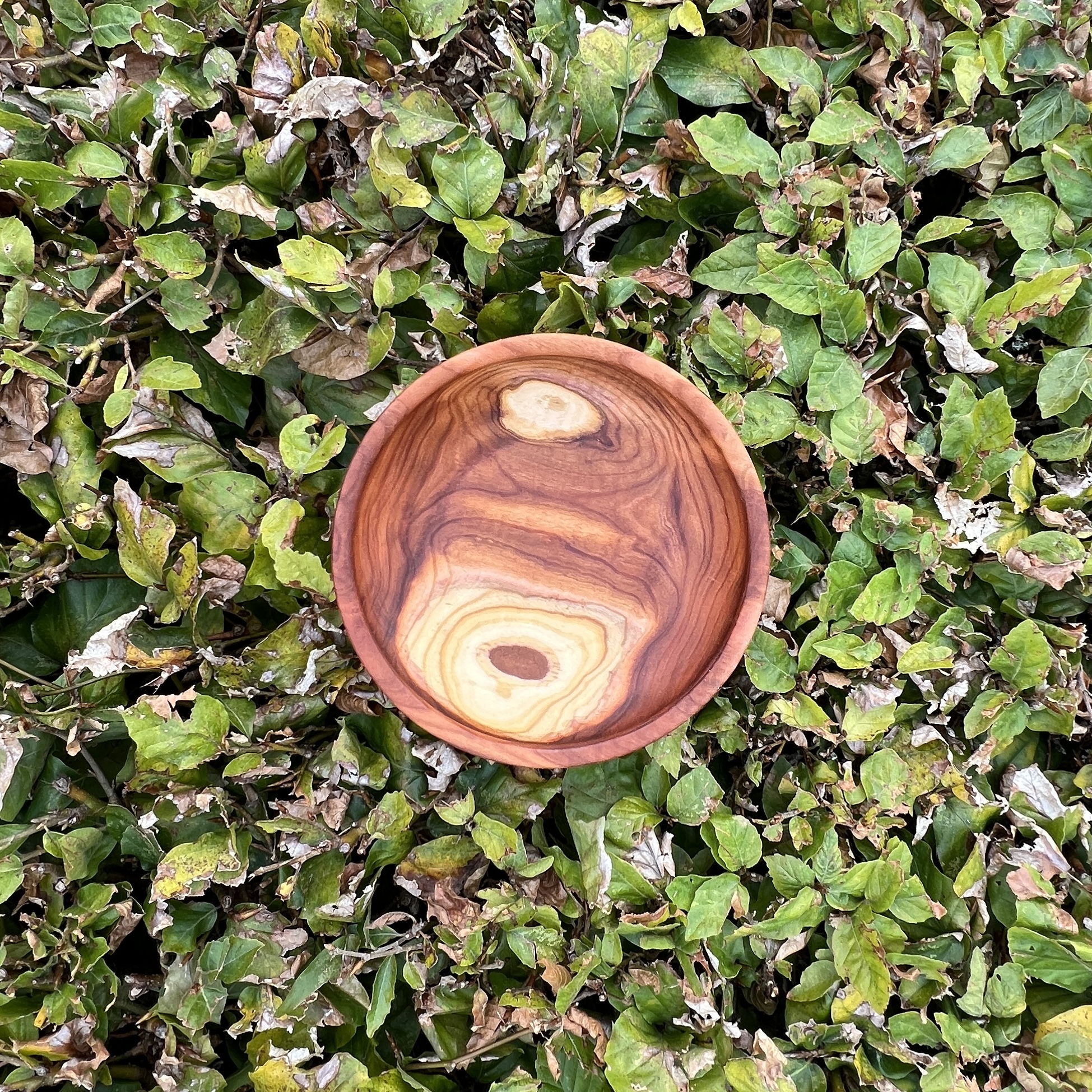 Skål 13x3 - Image 2