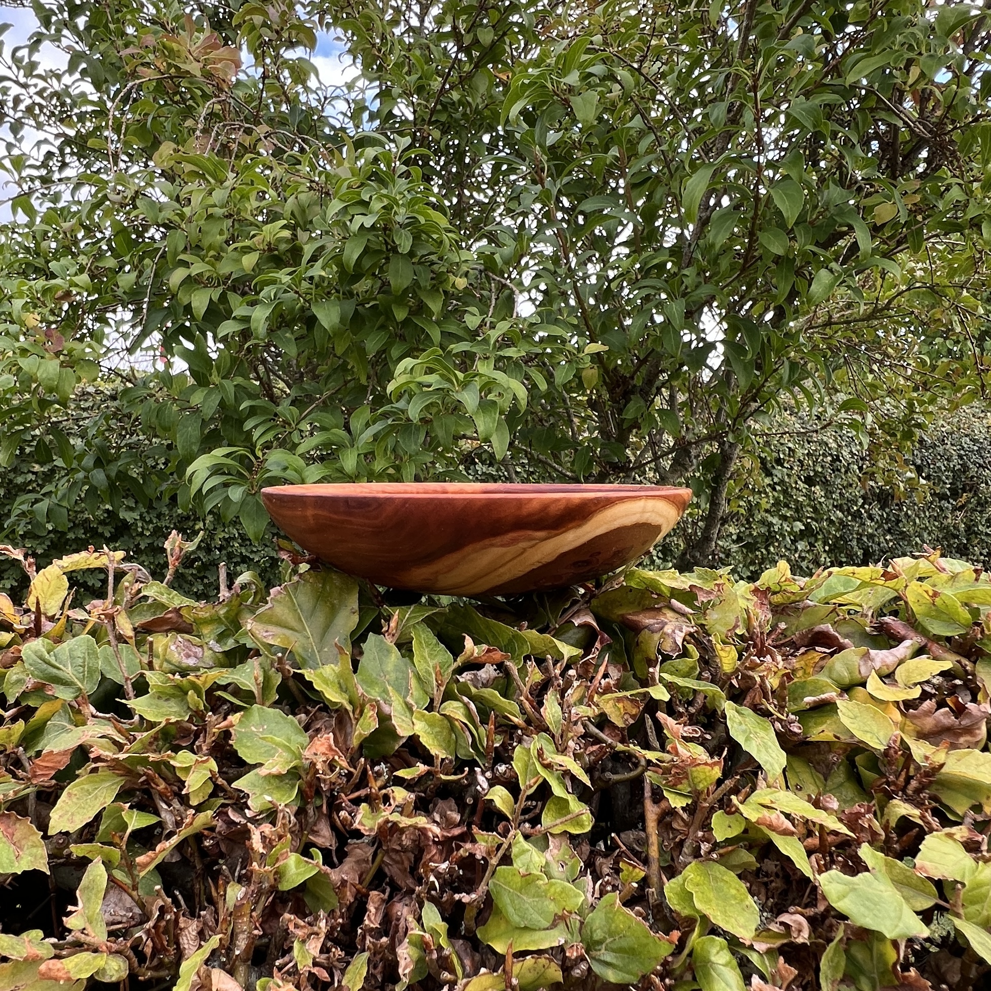 Skål 13x3 - Image 3