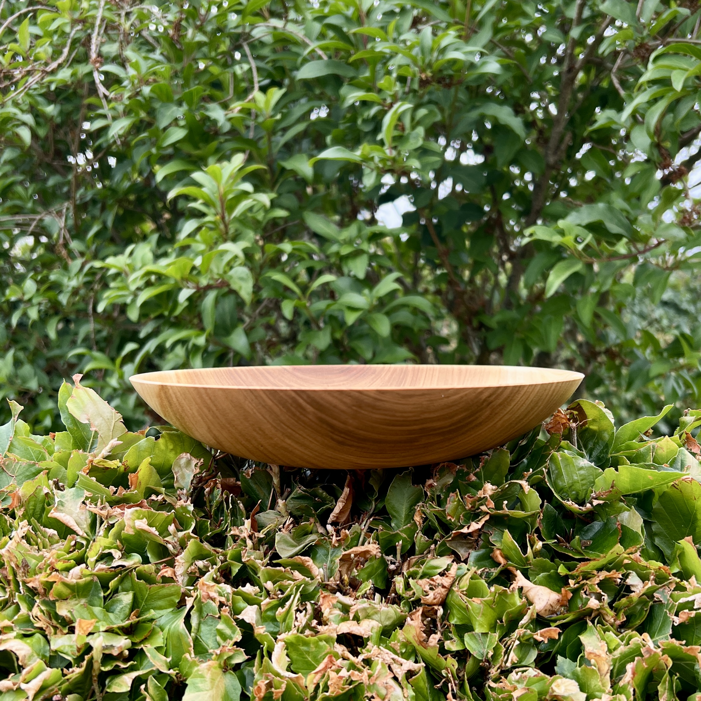 Skål 21x4 - Image 2